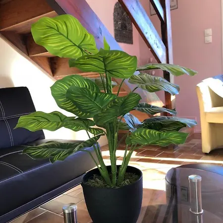 Σπίτι διακοπών Prat